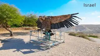 In the Bible, the Negev Desert Serves as The Southern Border of The Holy Land, Denoted as 