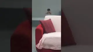 YARAMAZ Ali Durulmuyor