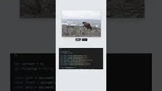 CSS Page Turn Effect | HTML & CSS Animation 