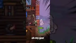 Calamity Ghosts Are Wild 