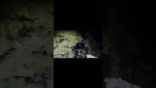 CAUGHT ANOTHER ONE WATCHING