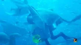 #2 отель легенда Дубай