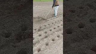 Посадка картоплі під маркер