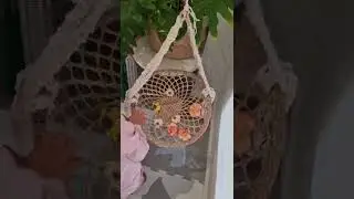 Montessori-inspired Flower arranging on a seagrass dish 