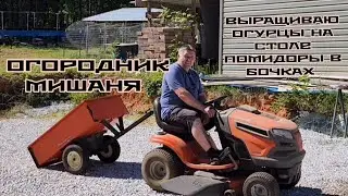 ВЫРАЩИВАЮ ОГУРЦЫ НА СТОЛЕ ПОМИДОРЫ  В БОЧКАХ  В АМЕРИКЕ ДЕРЕВЕНСКИЙ ОГОРОДНИК МИШАНЯ