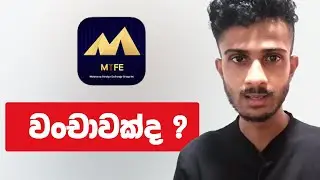 MTFE Sri Lanka | MTFE Scam or Not ? | MTFE Trading Sinhala
