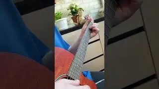 Океан Ельзы