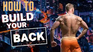 Best Exercises for Back