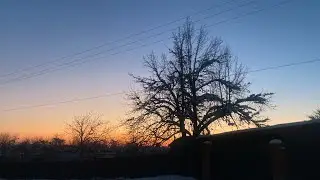 1118❤️Влоги с юга. Зима не отступает/Натворили делов/ Дождались подарок 🙏