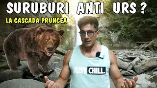 🐻 Cum se protejează de URȘI oamenii de la CASCADA PRUNCEA din județul munții Siriu Buzău