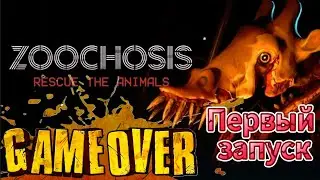 Zoochosis Первые впечатления