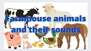 How To Learn Farm Animals |Farmhouse animals with their sounds in easy way|