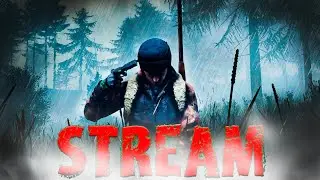 DayZ | А что там на официальных серверах? День 5