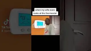 it's that time of year again!!#beetlejuice #thermostat #tiktok #wife #foryou