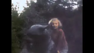 Жизнь в Вюнсдорфе 1962г.