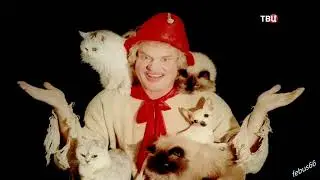 Юрий Куклачёв, Клоун, который гуляет сам по себе   - отрывок
