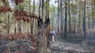 Controlled Burn