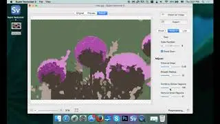 Vector Software Mac - Convert Image into Logo Vector - Color Vectorization with Super Vectorizer Mac