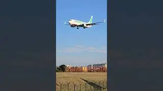 Transavia | Boeing 737-800 NG ✈️ #airport #lisboa #shorts