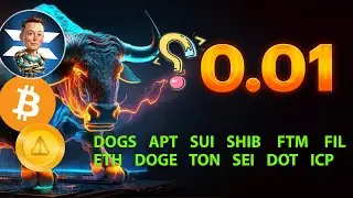 فوری❌ایکس امپایر 0.01 یا ریزش؟❌نات کوین | بیت کوین |داگز | سویی |شیبا