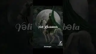 YƏLİ KƏRBUBƏLA! ƏLƏMDARI HÜSEYN 🖤 #imamhussain #hüseyin #yaali #kerbela #baki #meherremlik #aşura