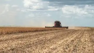 9230 case IH 45 pés colhendo soja/ Harvest Case IH 45 pés in northeast in Brazil harvesting soybeans