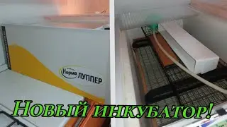 Одного инкубатора мне не хватает, купил новый!