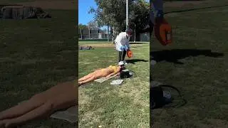 Clonando uma Desconhecida em um Parque ao Ar Livre 🧬