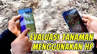 Dokumentasi Kegiatan Evaluasi Tanaman Menggunakan Aplikasi Time Stamp di Handphone