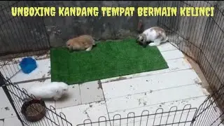 UNBOXING KANDANG, TEMPAT BERMAIN KELINCI