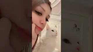 Обзор на кошку 