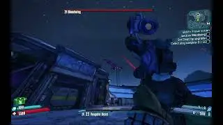 weird bloodwing bug