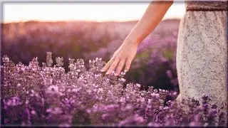 Sprüche u. Zitate ♡ Zum Nachdenken ~ Mut machen und Kraft schenken ♡ Teil 2 *❀*