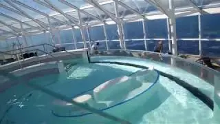 Круизный корабль Симфония Соляриум 16 этаж