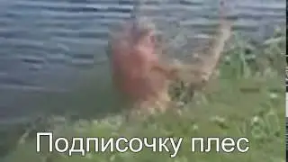 Кишка feat.Би-2 (Её глаза)