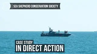 Direct Action - A Day in the Life of Operation Milagro