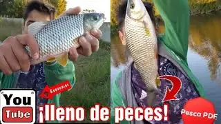 DESPUÉS de la CUARENTENA TENES QUE VENIR a ESTE LUGAR de PESCA PUBLICO /PESCA PDF lleno de peces