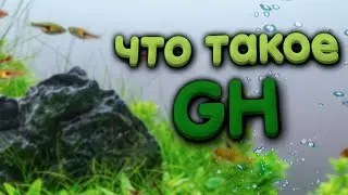 Общая жесткость аквариумной воды. GH. Как понизить жесткость воды в аквариуме.