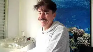 Dicas como chocar ovos artificialmente