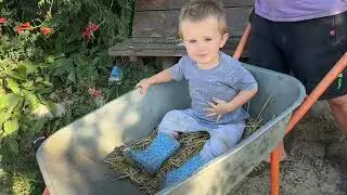 Який зібрали врожай в садку ?