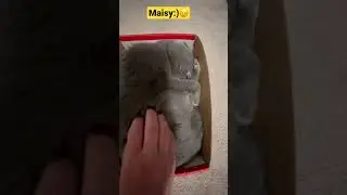 Maisy:)