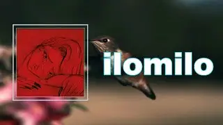 Billie Eilish - ilomilo (Lyrics)