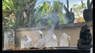 ЖИВЫЕ КРИСТАЛЛЫ