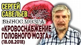«ВЫНОС МОЗГА #52»: «Кровоснабжение головного мозга». 18.08.2018. Савельев С.В.