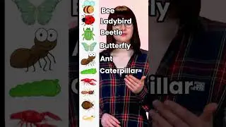 Insects English Vocabulary | Improve English Speaking 
