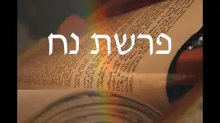 Noach Aliyah Rishona -   קריאה בתורה פרשת נח נוסח ספרדי ירושלמי