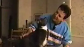 Cat tells 