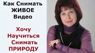 #КакСниматьЖИВОЕвидео