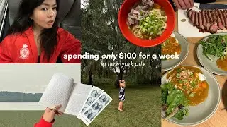 spending only $100 for a week in nyc ⋆.˚꩜