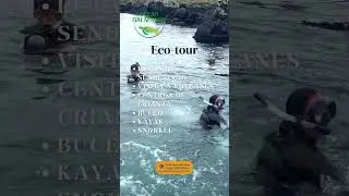 ¿Por qué visitar las Islas Galápagos en Ecuador?  Parte II.     #vidamarina #volcanes #playa #buceo